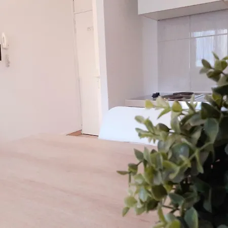 Raphael Saint-Raphaël