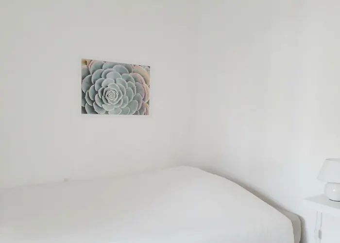 Raphael Saint-Raphaël